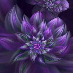 Meet your Posher, Rosetta